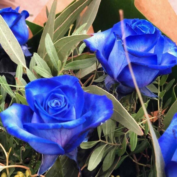 Flores Azules