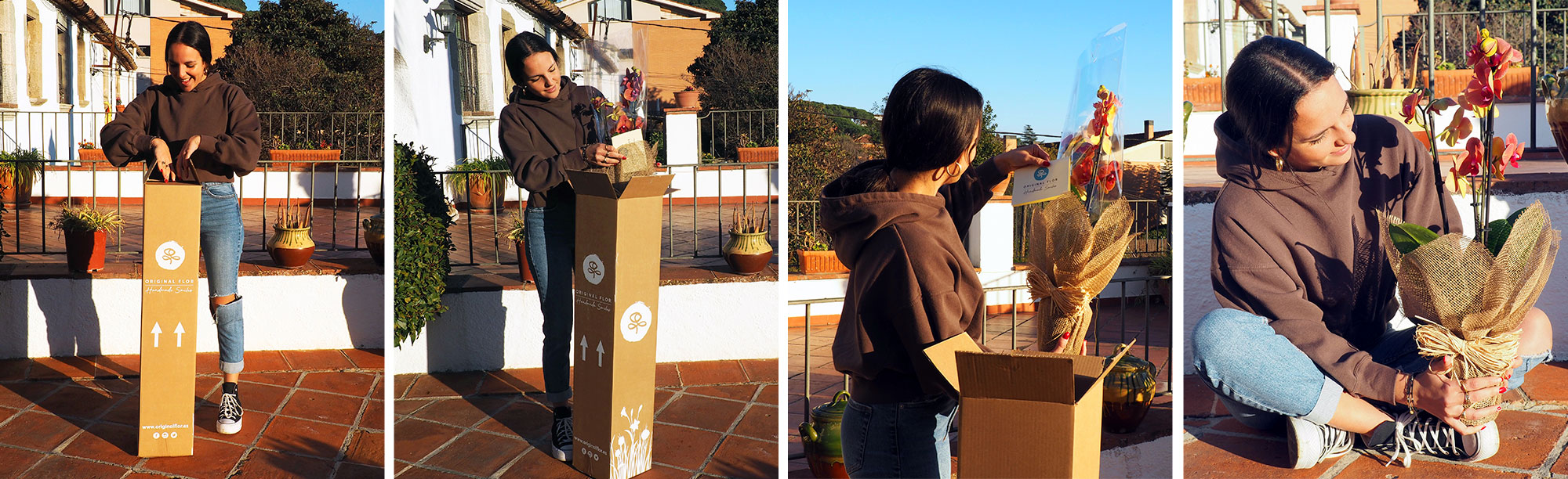 packaging plantas a domicilio - Originalflor