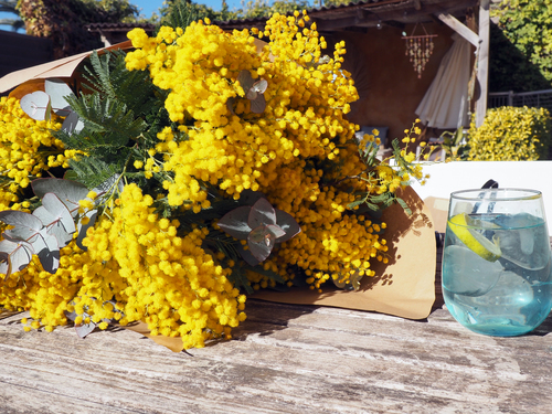 Ramo De Flores Fragance Con Mimosa Y Eucalipto