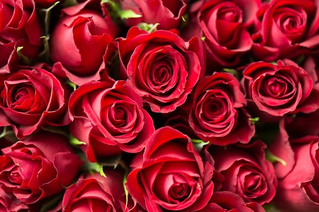 Frases para san valentín - Frases de Amor