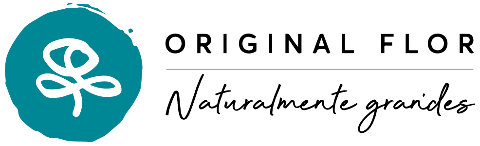 Original Flor - Envío de Flores