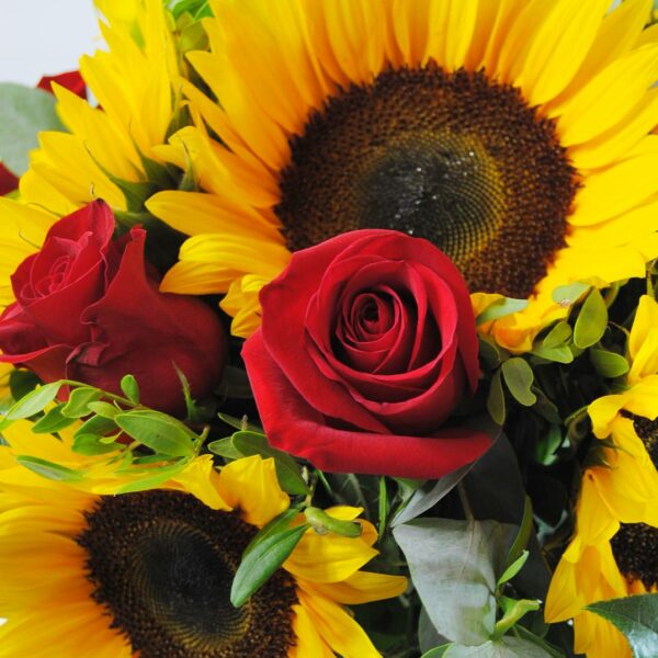 Girasoles Y Rosas