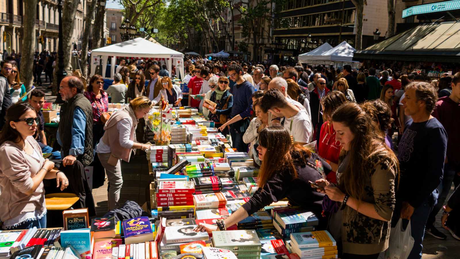La rosa de Sant Jordi: La historia detrás del símbolo de Cataluña