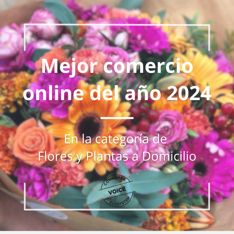 Mejor comercio online 2024