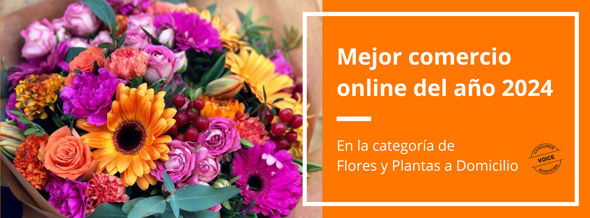 Mejor Comercio Online 2024
